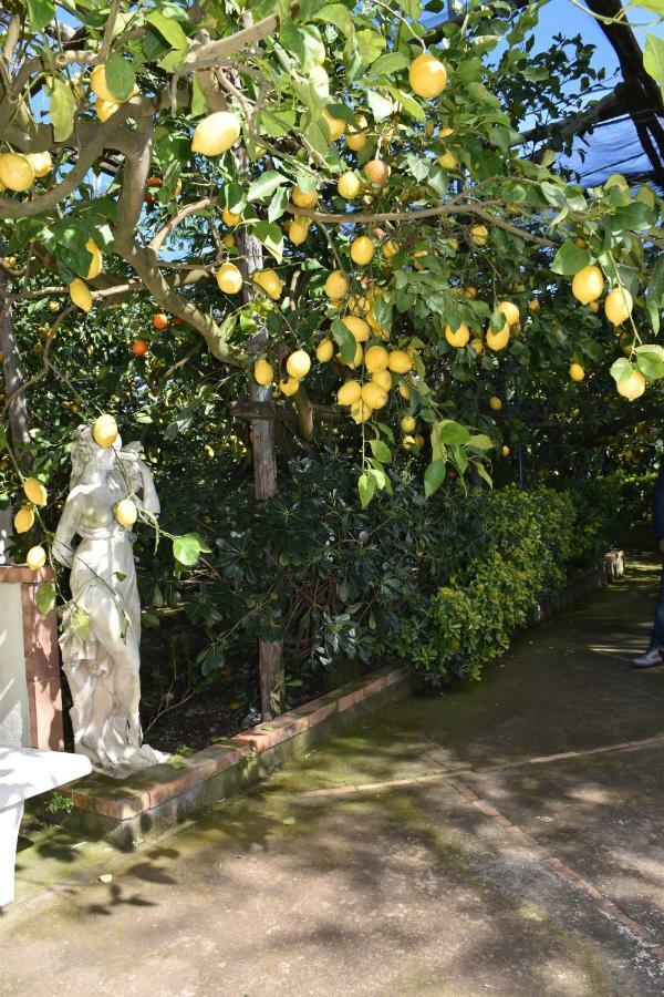 마사루브렌세 Casa Dei Limoni 아파트 외부 사진